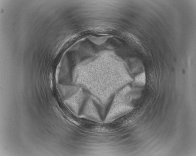 X0000066020596200603241537