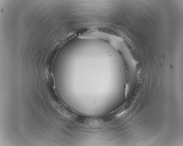 X0000066020597200603241537