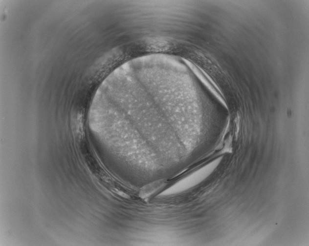 X0000066020598200603241537