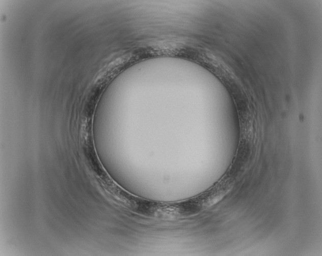 X0000066020599200603241537