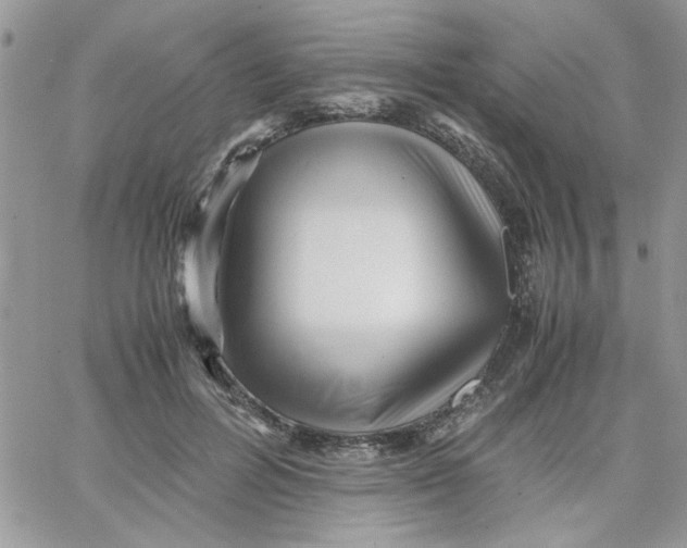 X0000066020600200603241537