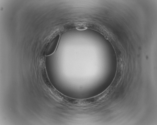 X0000066020601200603241537