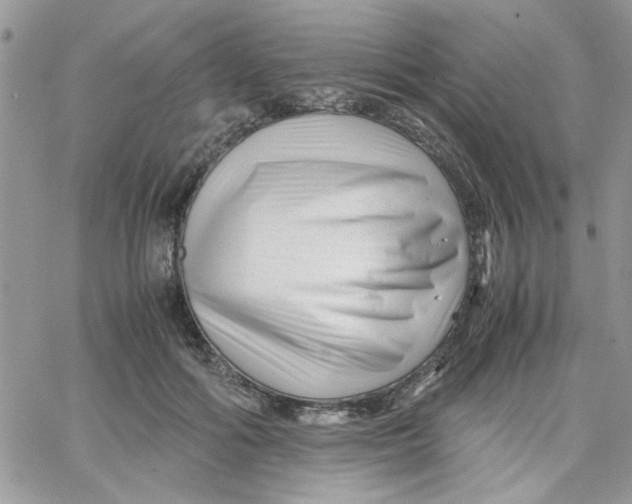 X0000066020602200603241537