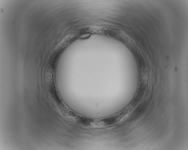 X0000066020603200603241537