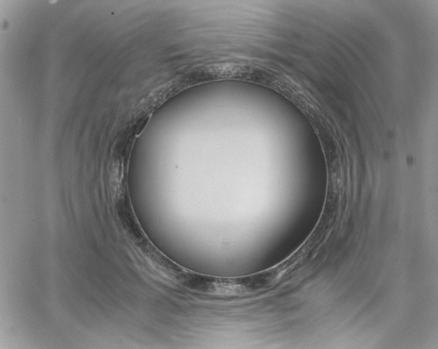 X0000066020605200603241537