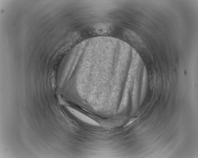 X0000066020606200603241537