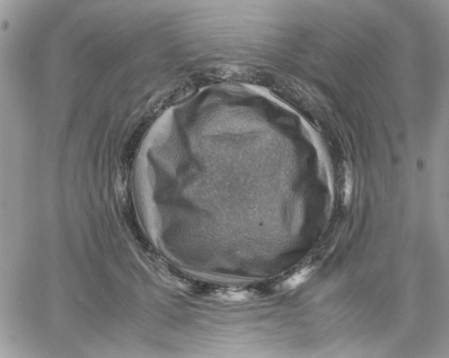 X0000066020607200603241537