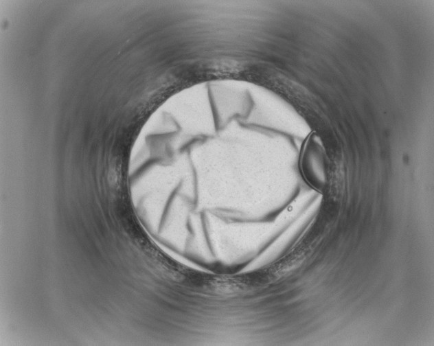 X0000066020608200603241537