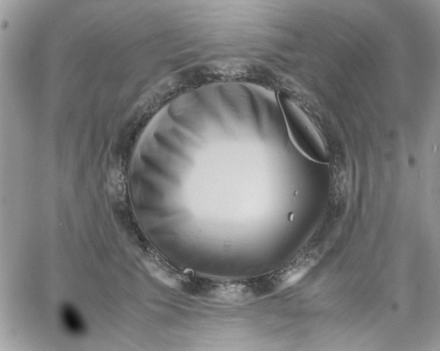 X0000066020609200603241537