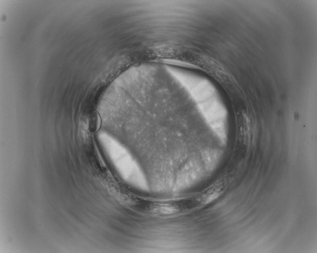 X0000066020610200603241537