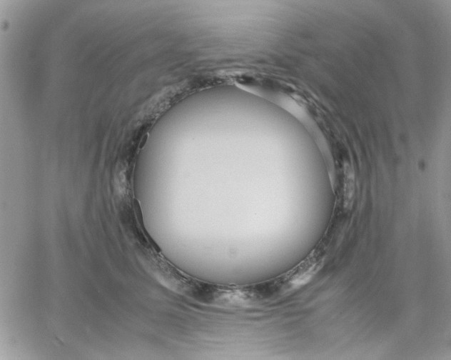 X0000066020611200603241537