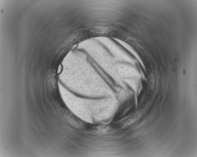 X0000066020612200603241537