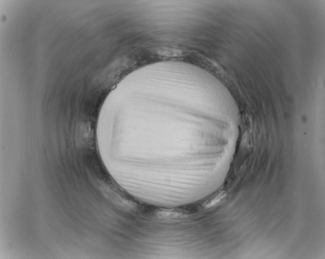 X0000066020614200603241537