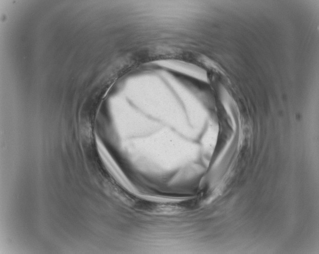 X0000066020617200603241537