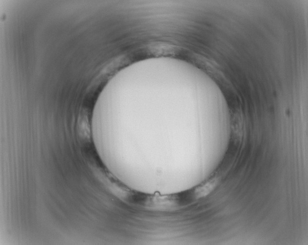 X0000066020622200603241537