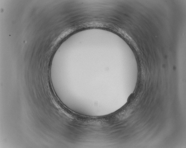 X0000066020625200603241536