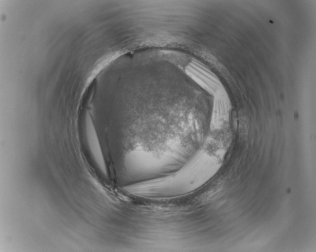 X0000066020626200603241536