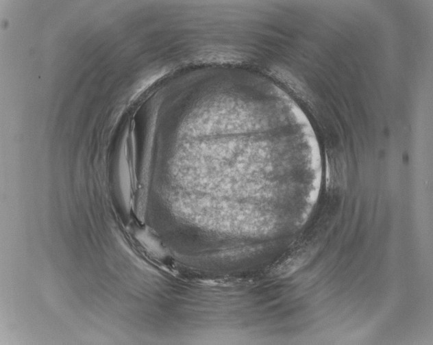 X0000066020627200603241536