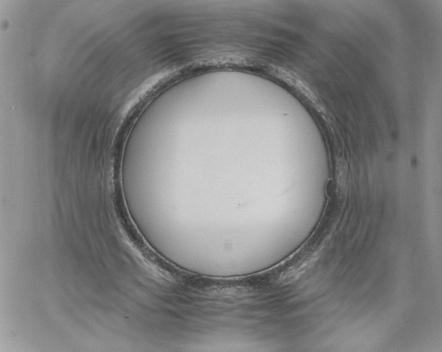 X0000066020629200603241536