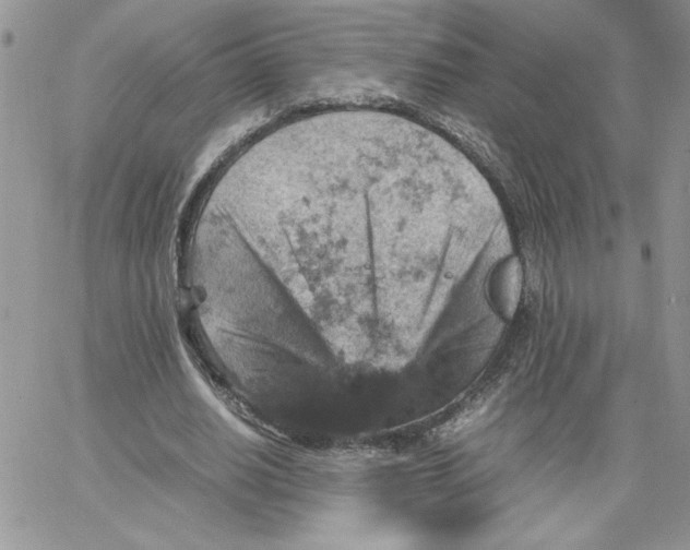 X0000066020630200603241536