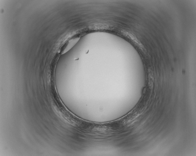 X0000066020631200603241536