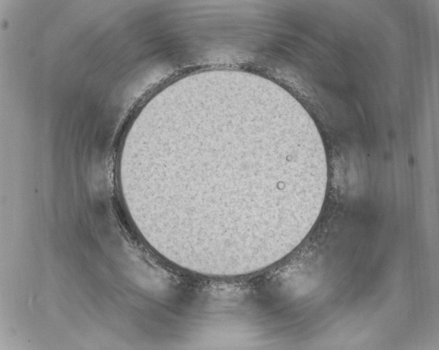 X0000066020632200603241536