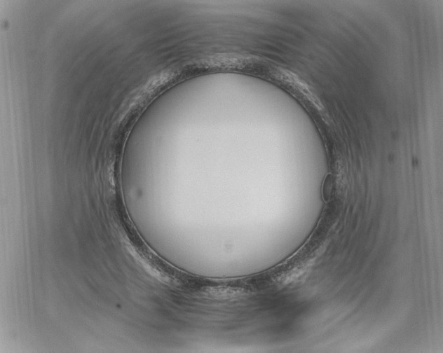 X0000066020633200603241536