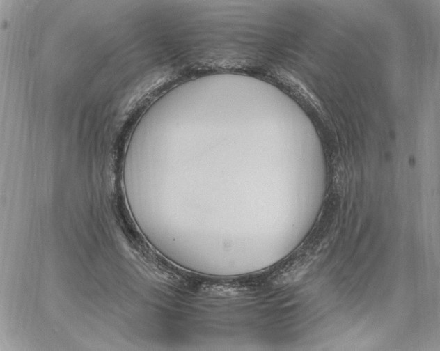 X0000066020635200603241536