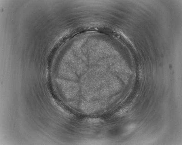 X0000066020637200603241536