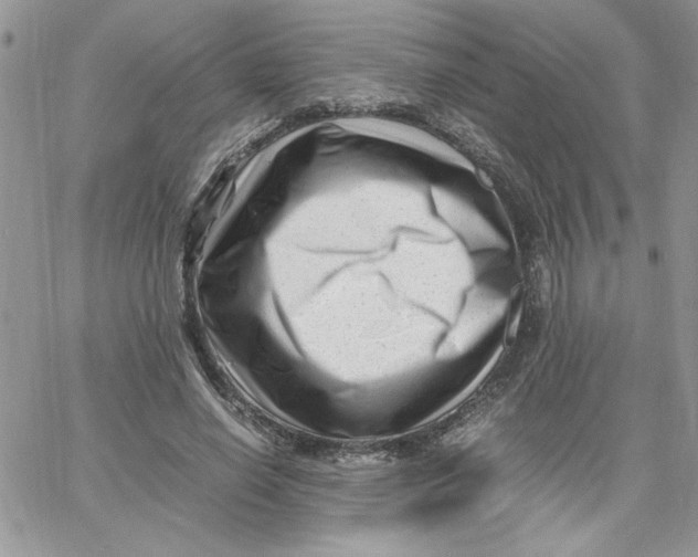 X0000066020638200603241536