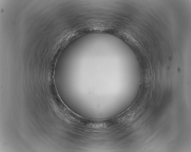 X0000066020639200603241536