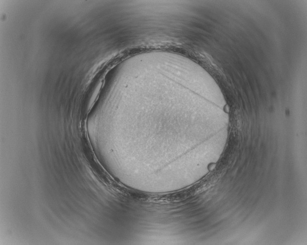 X0000066020640200603241536