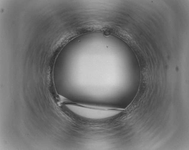 X0000066020642200603241536