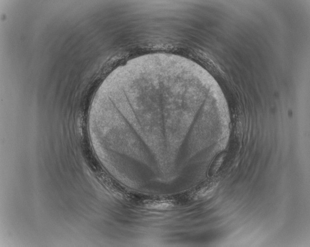 X0000066020643200603241536