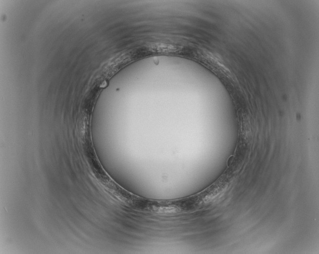 X0000066020645200603241536