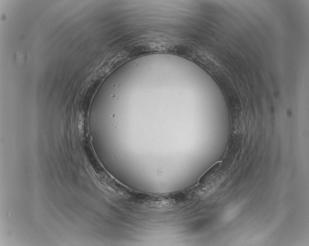 X0000066020646200603241536