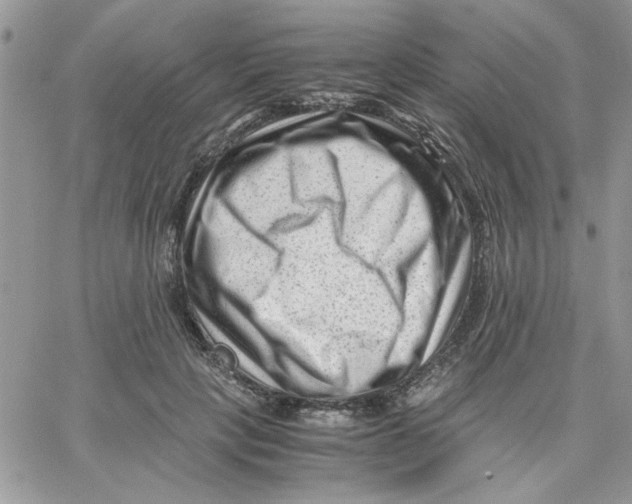 X0000066020649200603241536