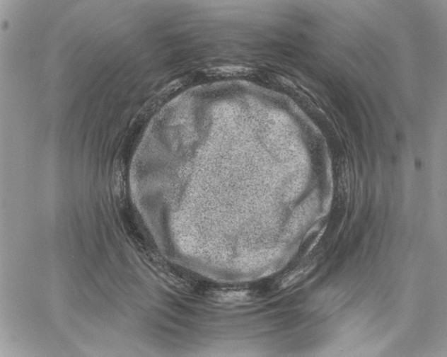 X0000066020651200603241536