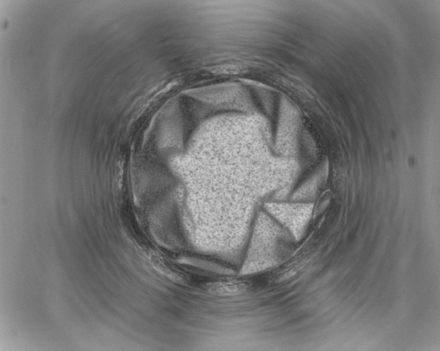 X0000066020652200603241536