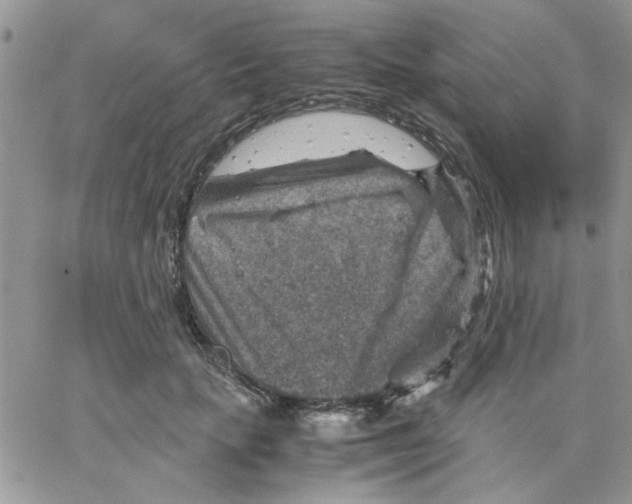 X0000066020653200603241536