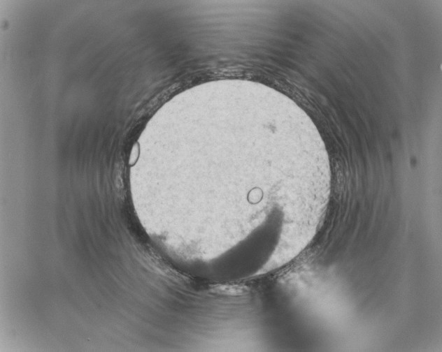 X0000066020654200603241536