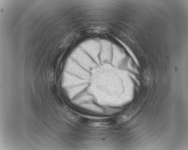 X0000066020657200603241536