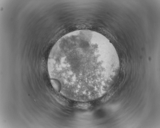 X0000066020659200603241536