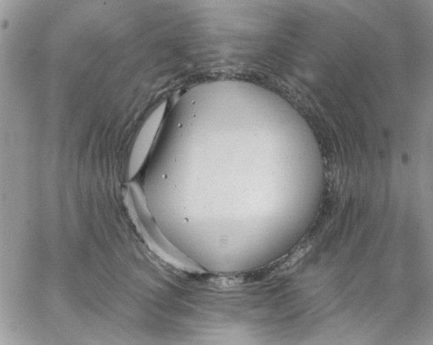 X0000066020660200603241536