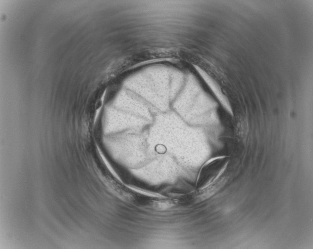 X0000066020662200603241536