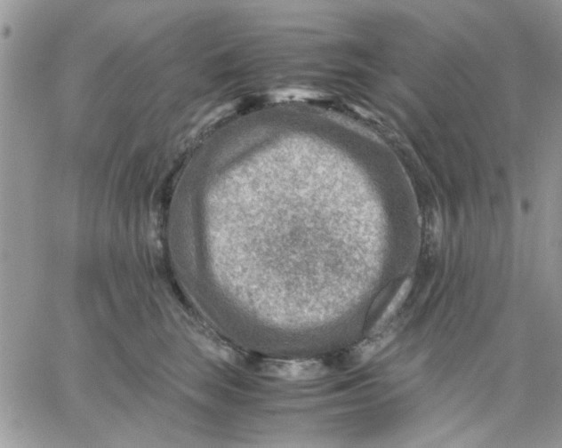 X0000066020663200603241536