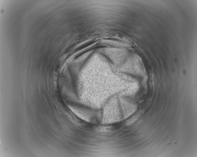 X0000066020664200603241536