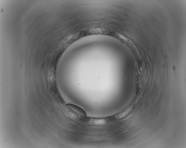 X0000066020665200603241536