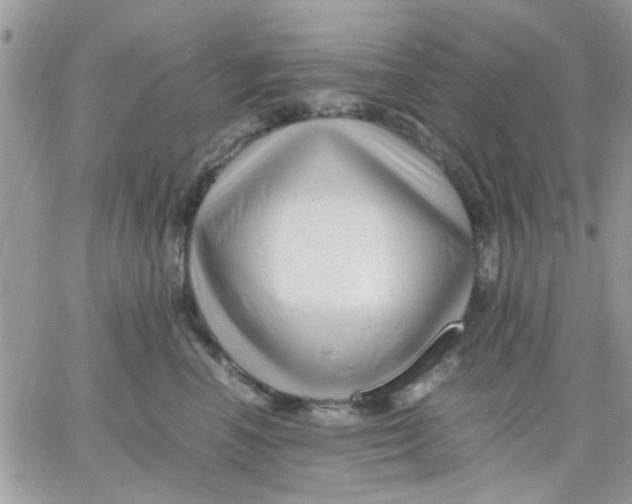 X0000066020666200603241536