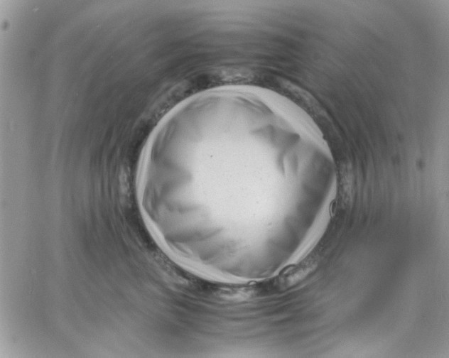 X0000066020667200603241536